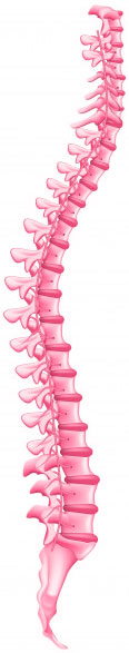 columna-ostiopatia-granate-marinarobert